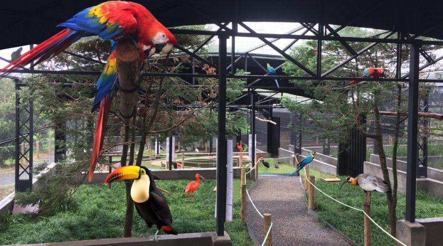 Zoo